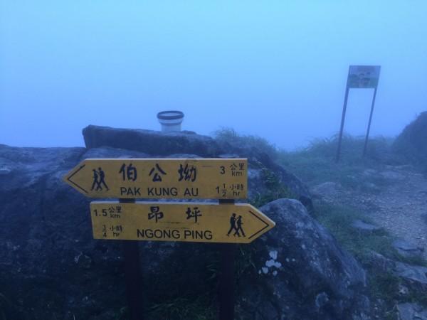 小猫钓鱼开船版最新版下载